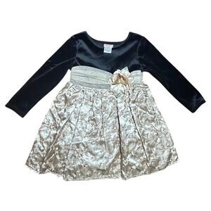 Youngland size 3T Dress Black Velvet with Gold Silky Roses